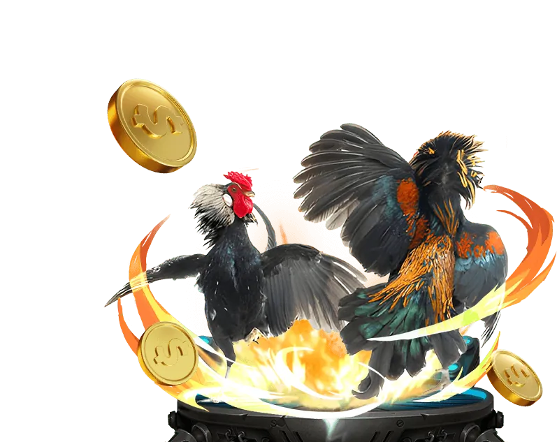 Game video slots hiện đại bl5555 nhà cái